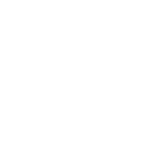 electronica-ico